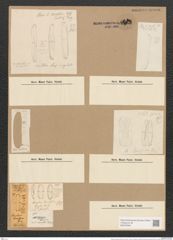 Amphora levissima Greg. (de-Toni-Nr.: Genus 36, Species 1506) Zeichnungen Sammlung Grunow Nr. 2922 (NHMW-BOT-W0370264)